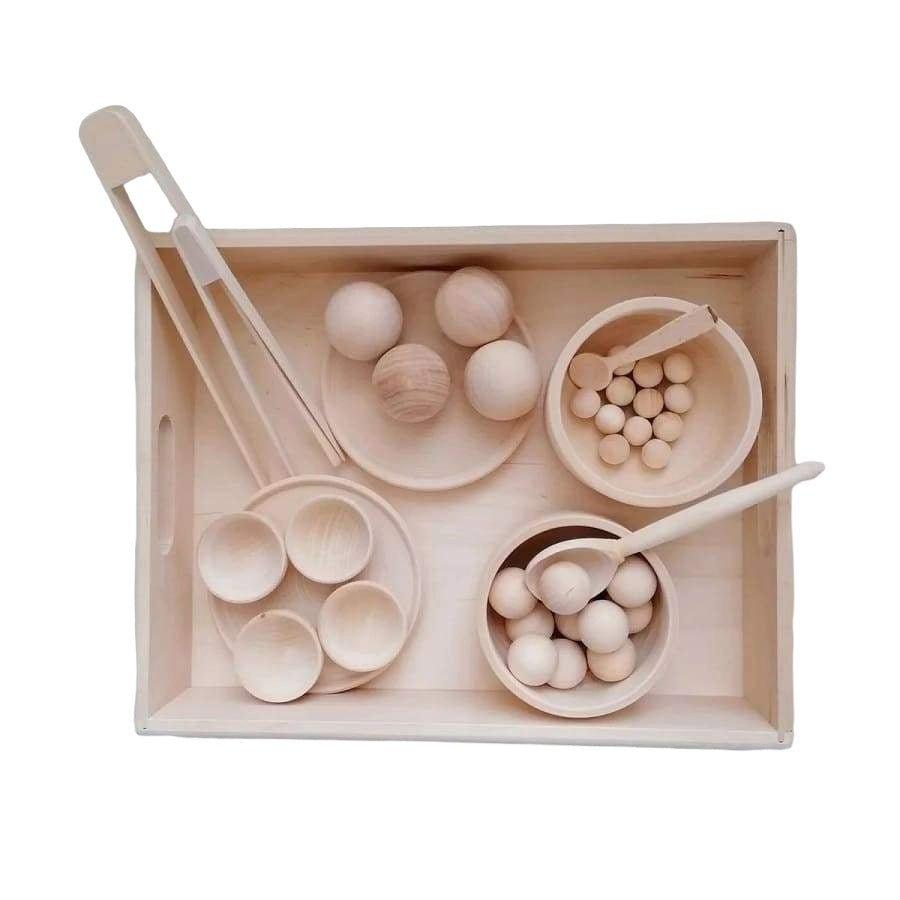 Image of Lernset, Sortierer für Holz, Waldorf-Material mit Tablett Multicolor