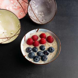 Intirilife Ensemble de 4 bols en 4 couleurs  