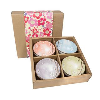 Intirilife Ensemble de 4 bols en 4 couleurs  