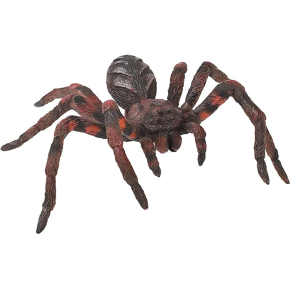 Image of Animal World Wolfsspinne