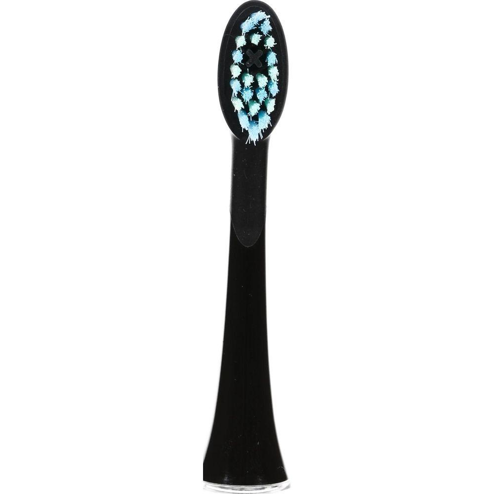 AILORIA SHINE BRIGHT Têtes de brosse Extra Clean - lot de 6  