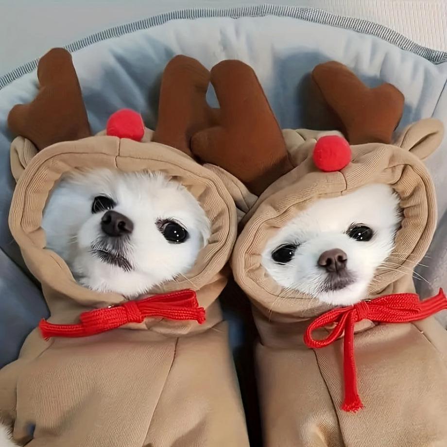 Alopini  Chandail à capuchon en forme de renne pour chiens et chats de petite et moyenne taille - Pull de Noël festif avec cordon de serrage, lavable en machine, mélange de polyester, XL 