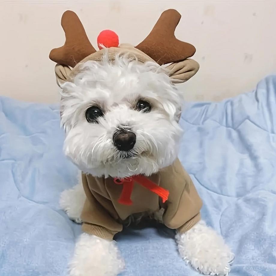 Alopini  Chandail à capuchon en forme de renne pour chiens et chats de petite et moyenne taille - Pull de Noël festif avec cordon de serrage, lavable en machine, mélange de polyester, XL 