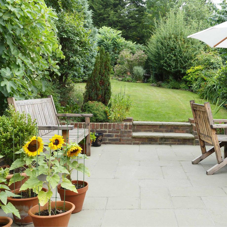 B2X Grüne Kletterhilfe 76 cm 5er Set  