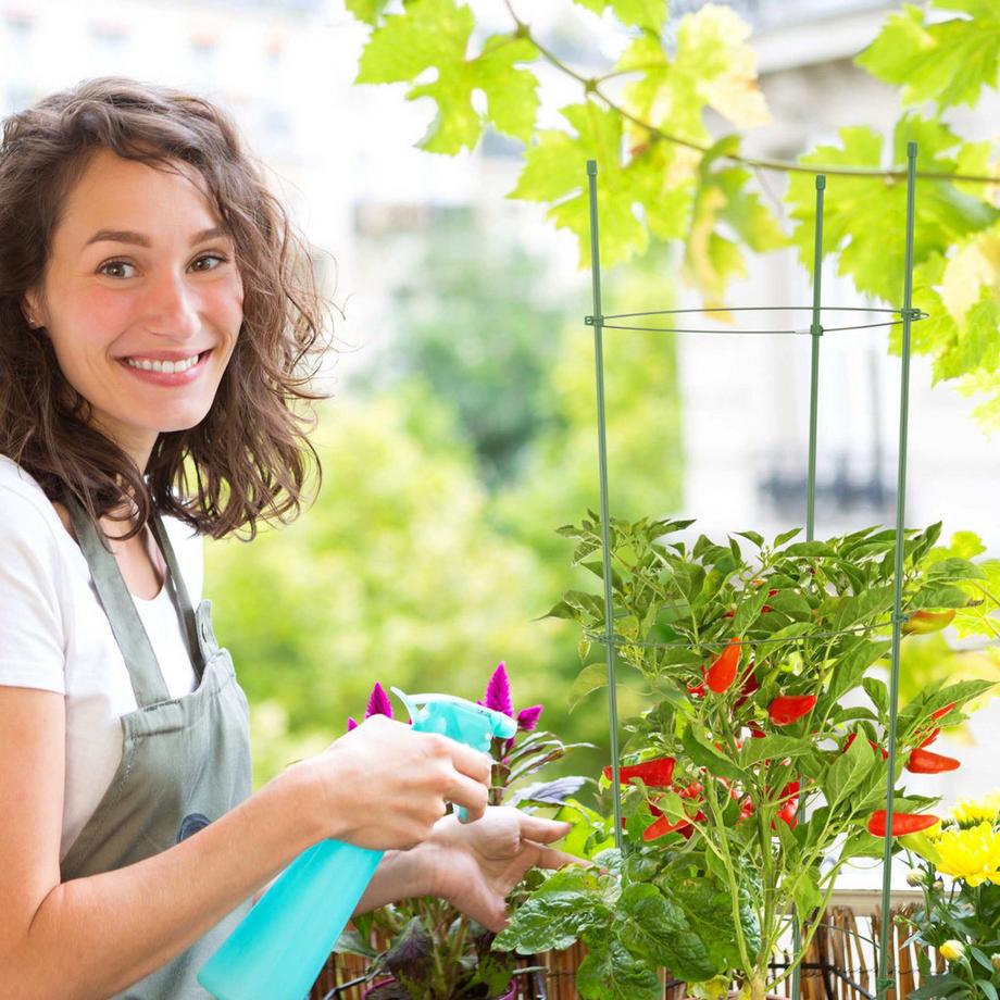 B2X Grüne Kletterhilfe 76 cm 5er Set  