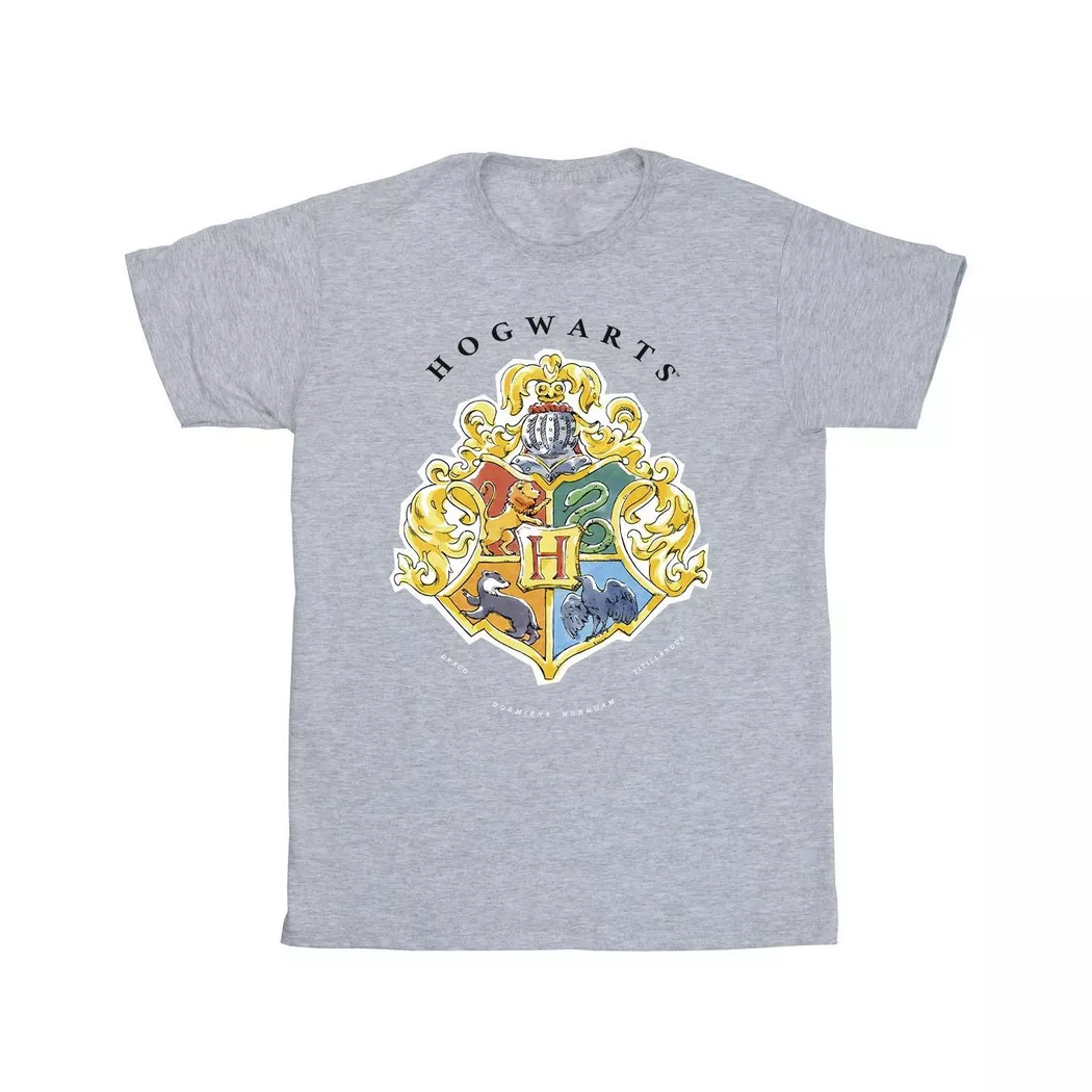 HARRY-POTTER - Hogwarts TShirt, 104, Grau