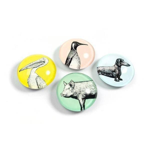 Image of EYE-Magnete ANIMAL 4er Set EYE-Magnete ANIMAL 4er Set