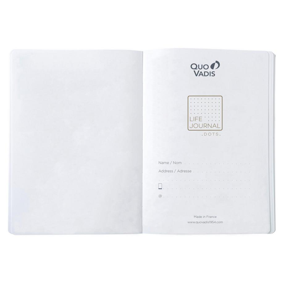 QUO-VADIS Quo Vadis - Taccuino Bullet journal - Multilingua - Life Journal - Giallo - Pagine Puntini (dots) e a righe - 15x21 cm - Carta Clairefontaine Bianca - Prodotto in Francia  
