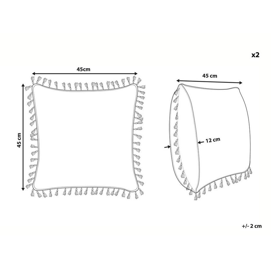 Beliani Lot de 2 coussins décoratifs en Polyester Moderne MALLOW  