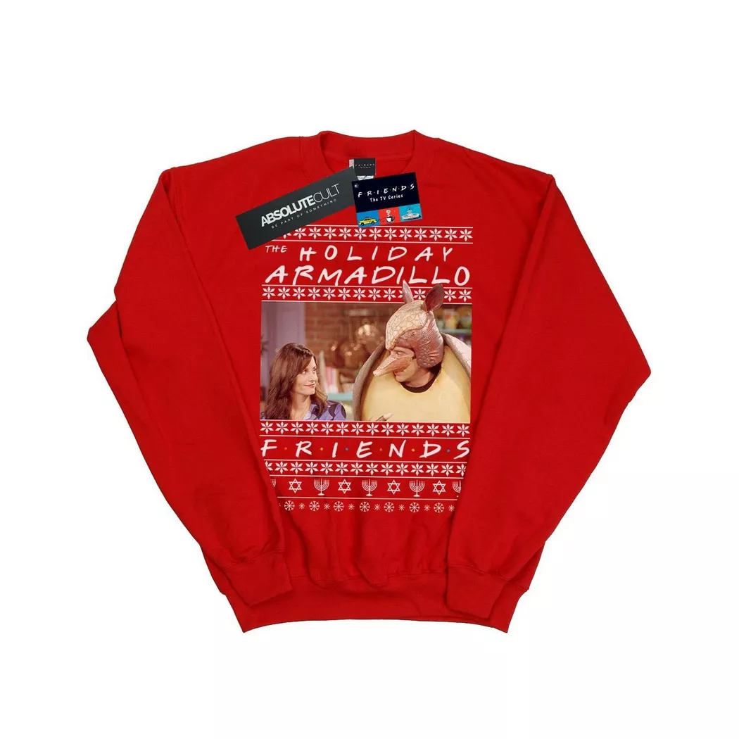 Friends - Holiday Armadillo Sweatshirt, 128, Rot Bunt