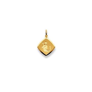 Pendentif signe du zodiaque verseau or jaune 750, 19x13mm