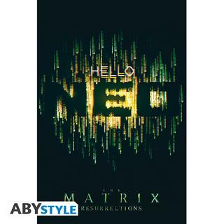 GB Eye Poster - Gerollt und mit Folie versehen - Matrix - Hello Neo  