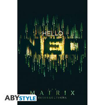 Poster - Roulé et filmé - Matrix - Hello Neo