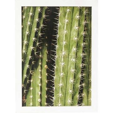 Cornice per foto cactus 45x33cm