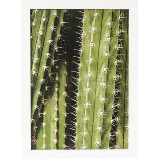 KARE Design Cornice per foto Cactus 45x33cm  