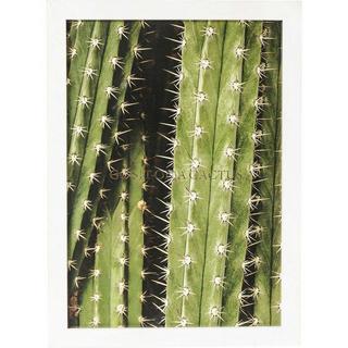 KARE Design Tableau Cadre Cactus 45x33cm  