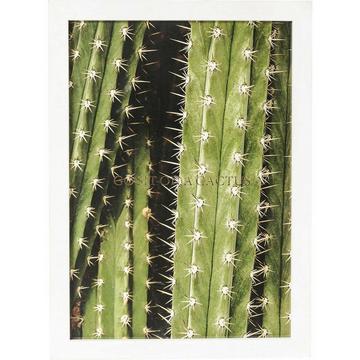 Tableau Cadre Cactus 45x33cm