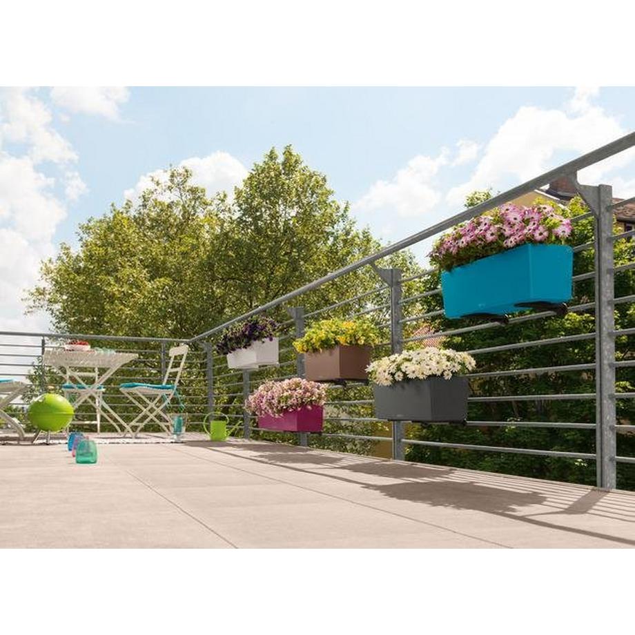 Lechuza BALCONERA Color  