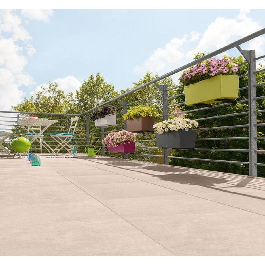 Lechuza BALCONERA Color  