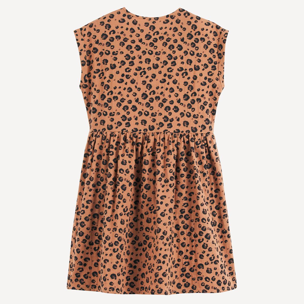 La Redoute Collections  Robe évasée 