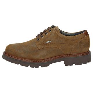 Sioux  Schnürschuh Adalrik-703-TEX-H 