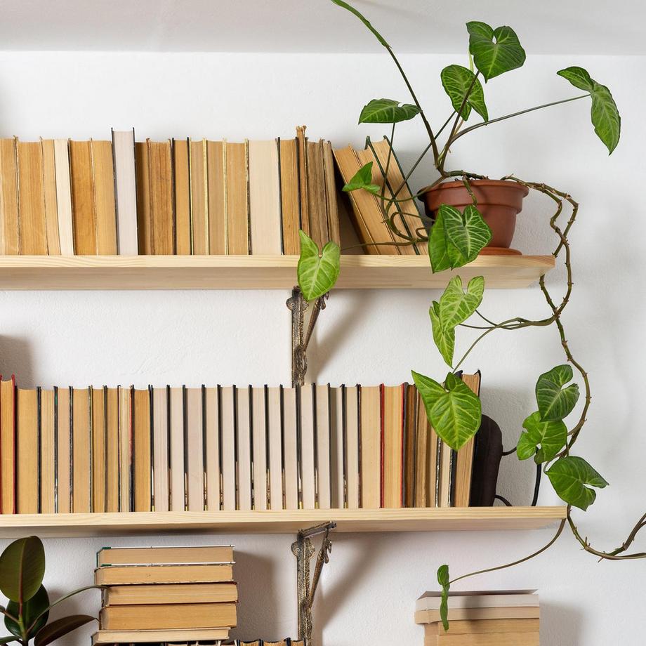 B2X Ensemble d'angles d'étagère avec 2 clés  