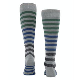 Burlington  socken blackpool mi-bas 