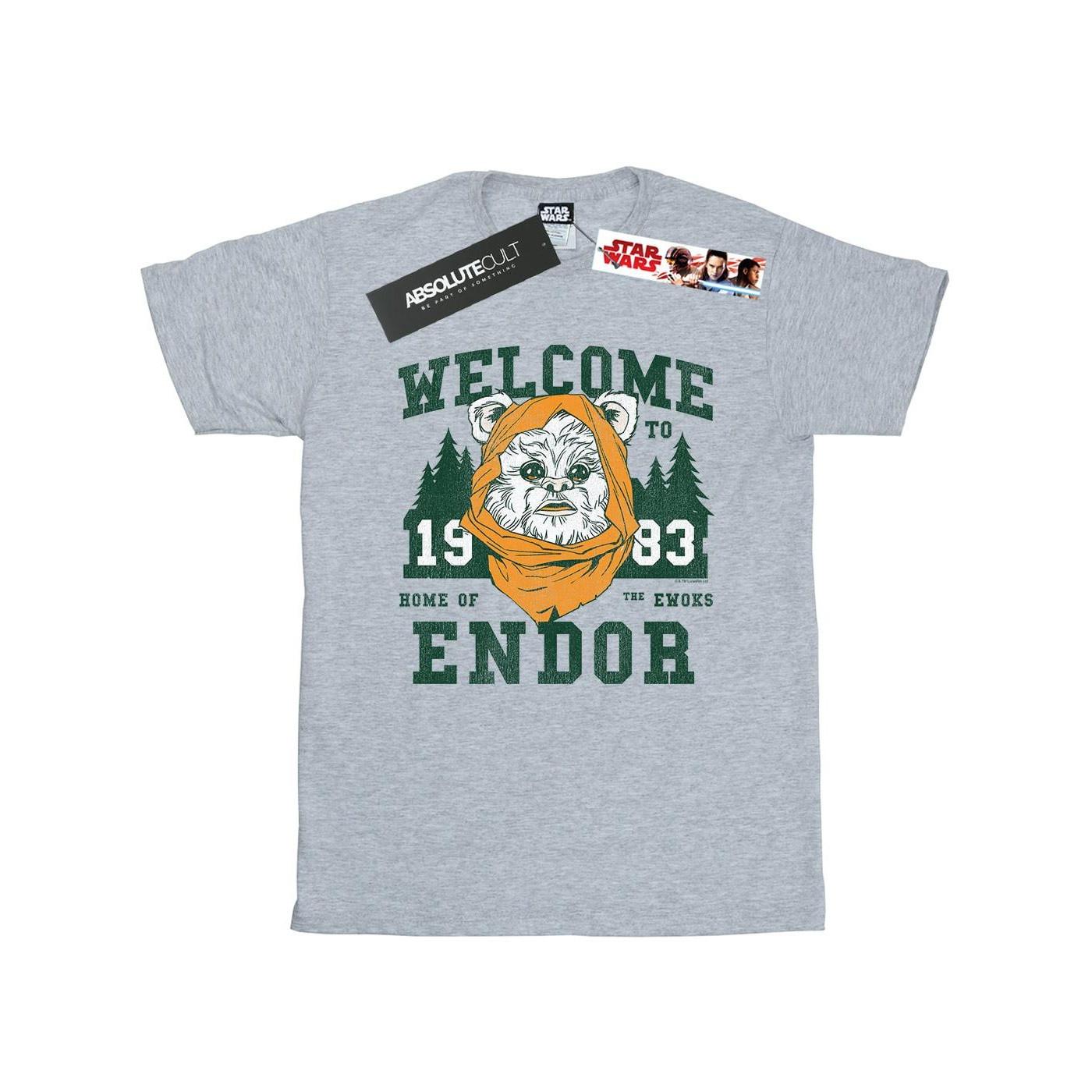 Image of Endor Camp Tshirt Damen Grau XXL