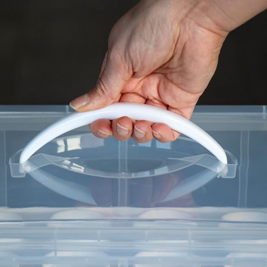 Intirilife Contenitore Per Il Trasporto Di Torte E Cupcake  