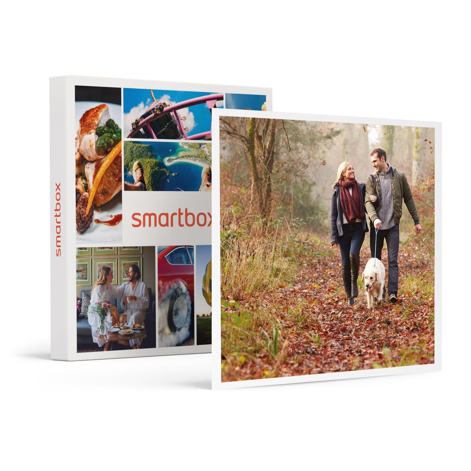 Smartbox  Vacances de rêve pour chien et maître : 3 jours avec petit déjeuner en Suisse - Coffret Cadeau 