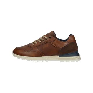 Bullboxer  Sneaker 