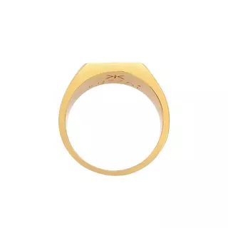 Kuzzoi Ring Siegelring Emaille Stern Basic 925 Silber | online kaufen -  MANOR