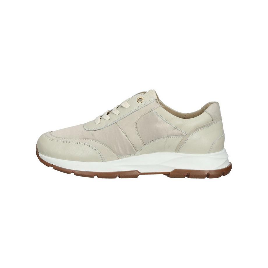 Salamander Sneaker  
