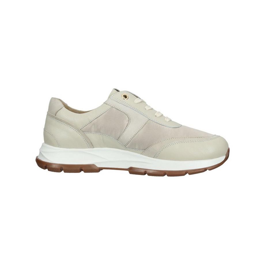 Salamander Sneaker  