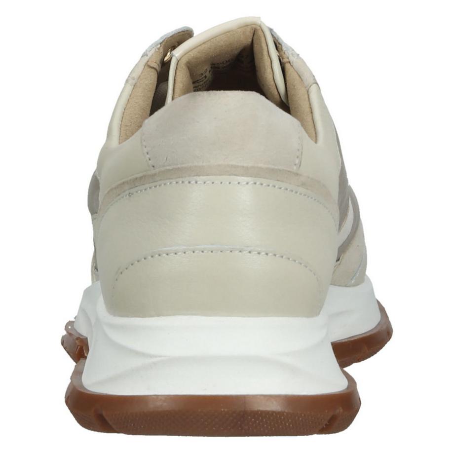 Salamander Sneaker  