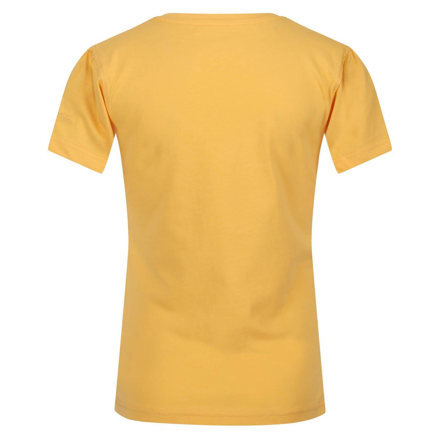 Regatta  Bosley VI Sunset Seeker TShirt 