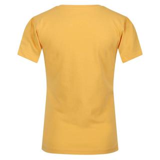 Regatta  Bosley VI Sunset Seeker TShirt 