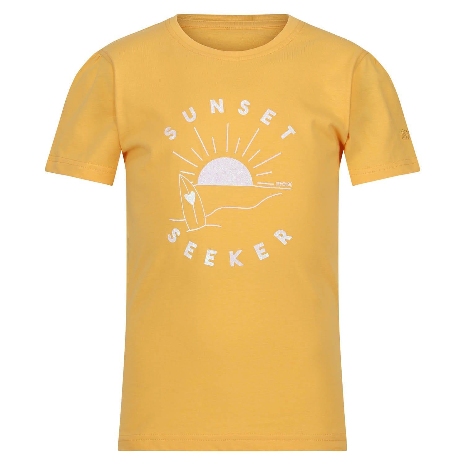 Regatta  Bosley VI Sunset Seeker TShirt 