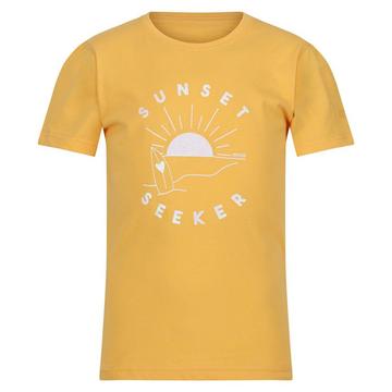 Bosley VI Sunset Seeker TShirt