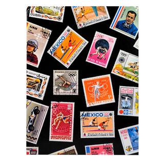 Exacompta Album de timbres Sport 16 pages noires - 22,5x30,5 cm - x 5  