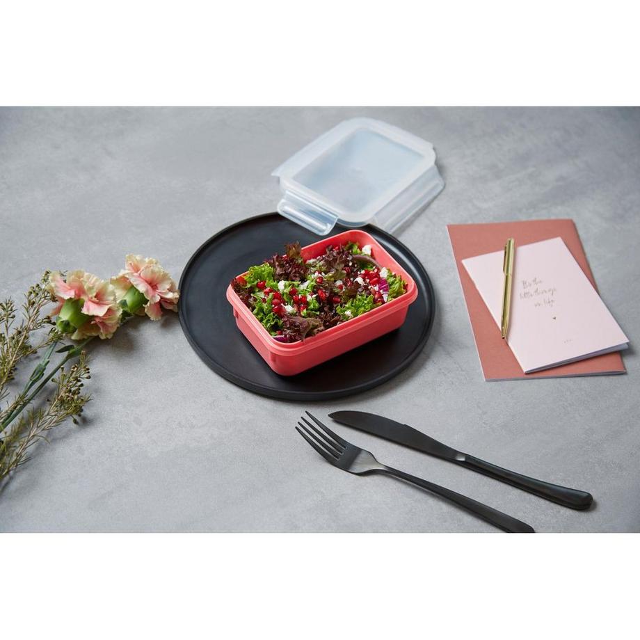 emsa  Vorratsbehälter Clip & Close 