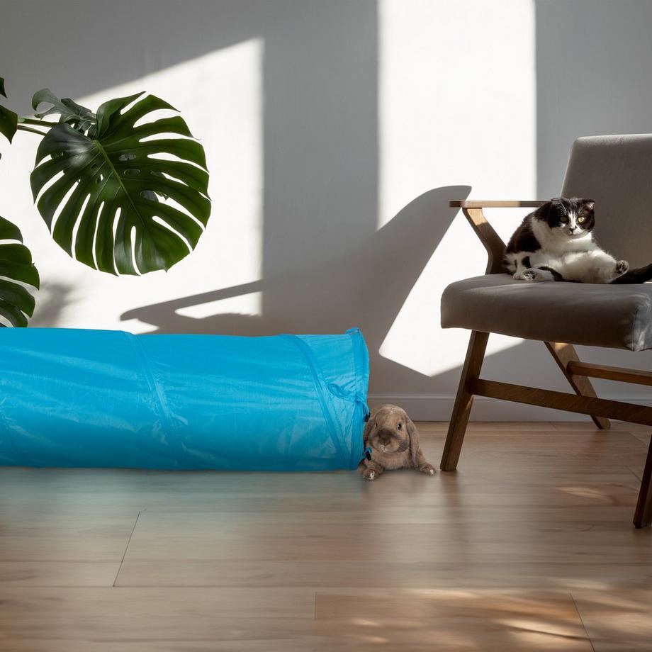 B2X  Tunnel pieghevole per gatti con giocattoli 