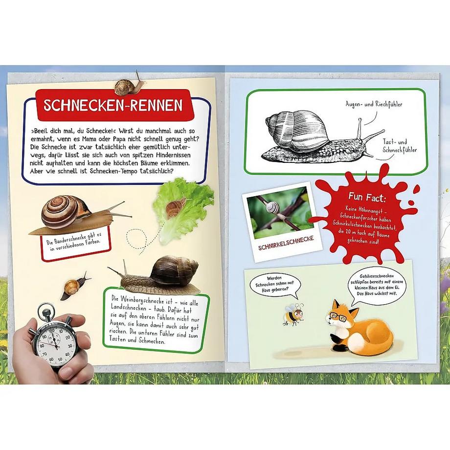 Naturforscher-Kids - Mein erstes Naturforscher-Buch Eich, Eva; Kaiser, Natasa (Illustrationen) Gebundene Ausgabe 