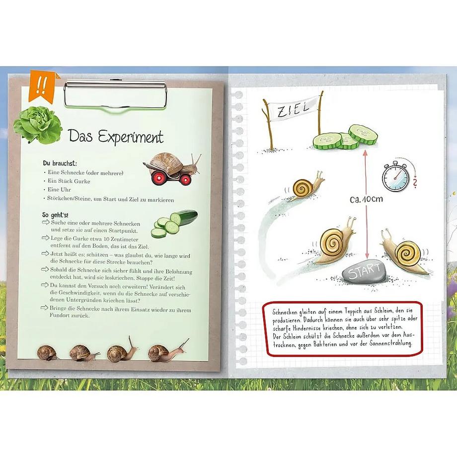 Naturforscher-Kids - Mein erstes Naturforscher-Buch Eich, Eva; Kaiser, Natasa (Illustrationen) Gebundene Ausgabe 