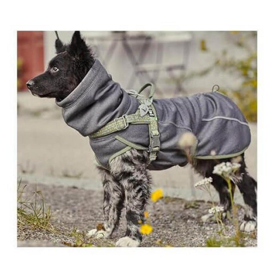 Hurtta  Razzle-Dazzle blackberry 35 