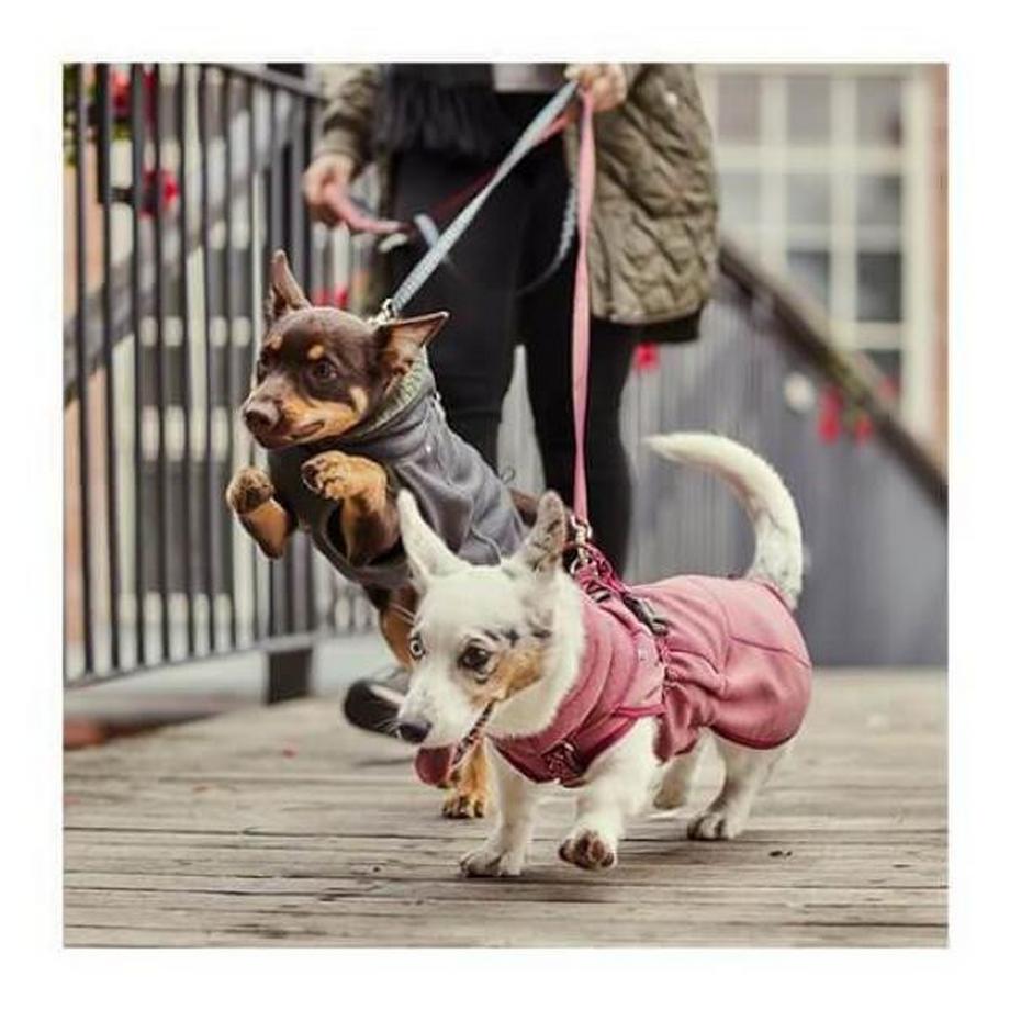 Hurtta  Razzle-Dazzle blackberry 35 