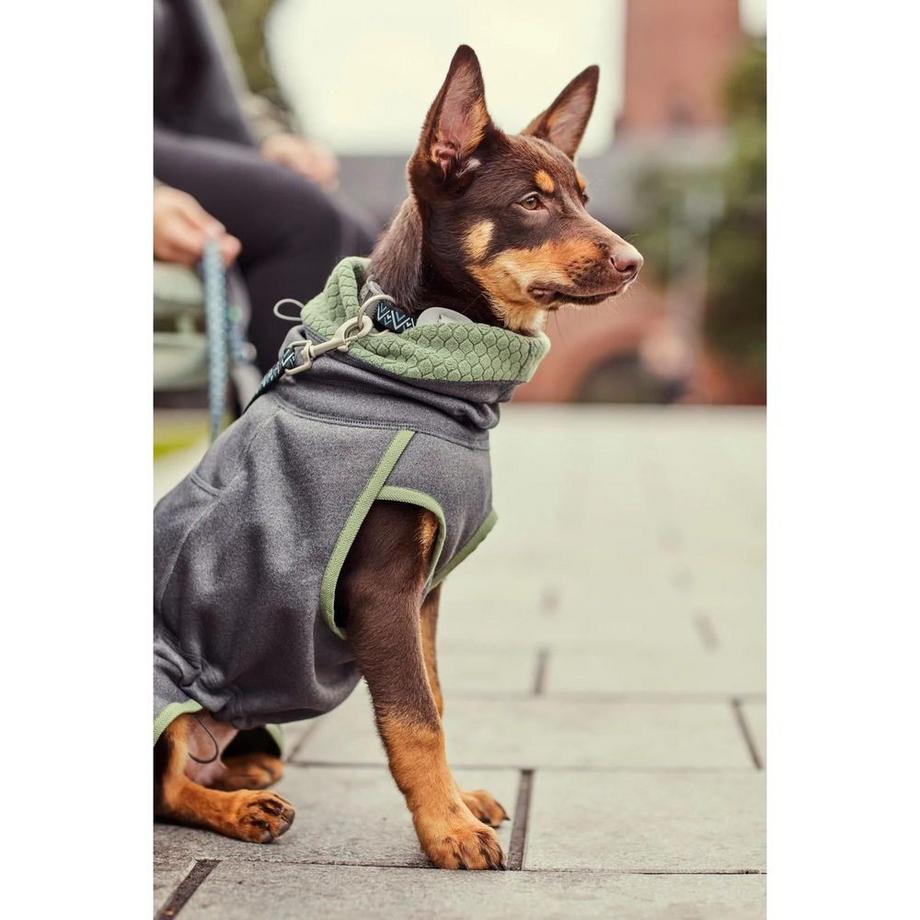 Hurtta  Razzle-Dazzle blackberry 35 