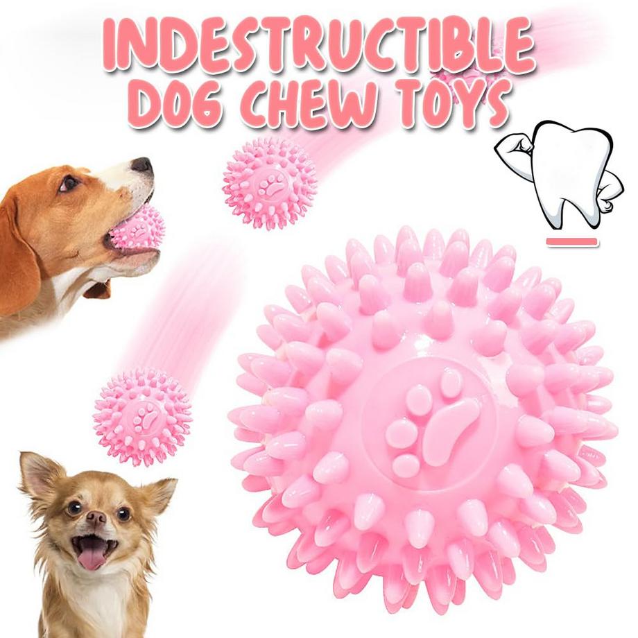 Alopini  10 Stück Hundespielzeug für kleine Hunde, quietschendes Plüsch-Hundespielzeug-Set 