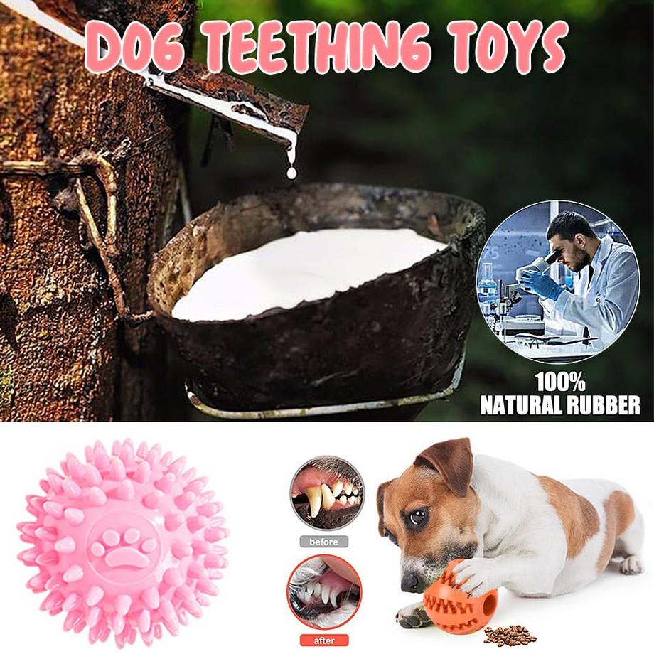 Alopini  10 Stück Hundespielzeug für kleine Hunde, quietschendes Plüsch-Hundespielzeug-Set 