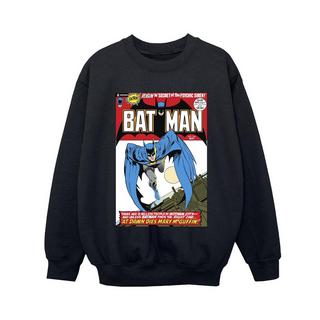 DC COMICS  Sweatshirt 